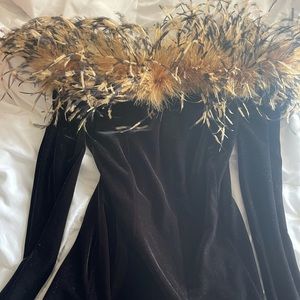 Fur Lining Velvet Dress